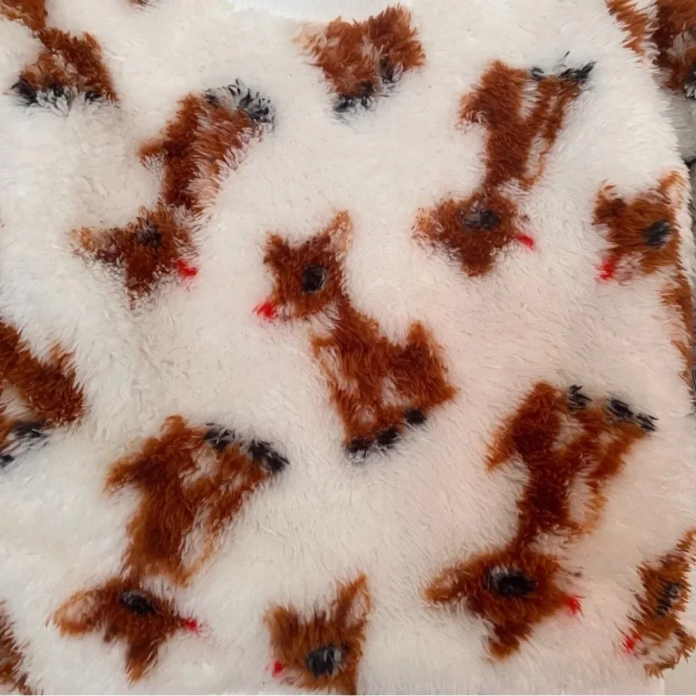 NWT Rudolph Jogger Set